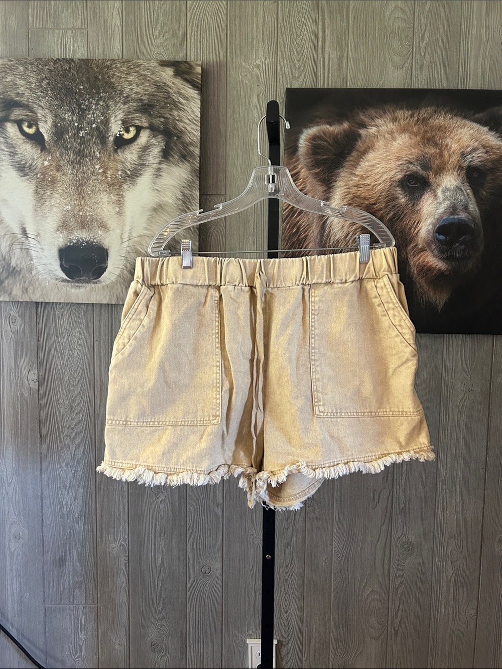 Boutique Shorts